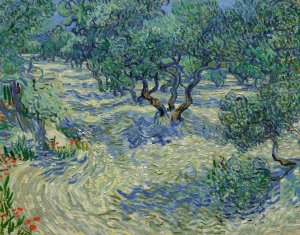 Olive Orchard by Vincent van Gogh Oil Painting