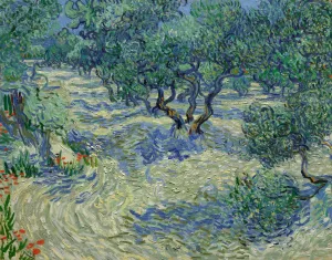 Olive Orchard by Vincent van Gogh Oil Painting