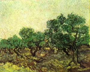 Olive Picking by Vincent van Gogh - Oil Painting Reproduction