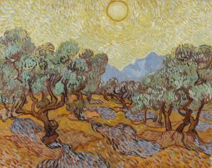 Olive Trees by Vincent van Gogh Oil Painting