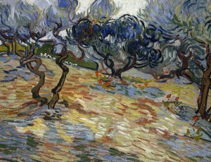 Olive Trees by Vincent van Gogh Oil Painting