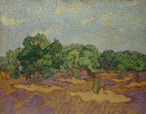 Olive Trees by Vincent van Gogh Oil Painting