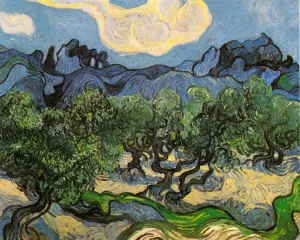 Olive Trees with the Alpilles in the Background painting by Vincent van Gogh