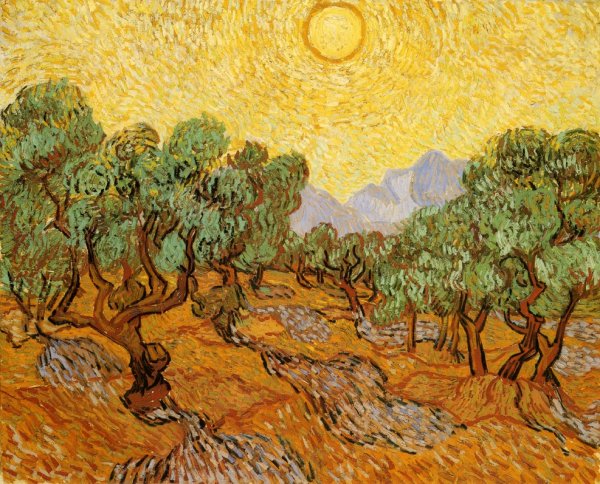Main Product Photo of Olive Trees with Yellow Sky and Sun Painting by Vincent van Gogh