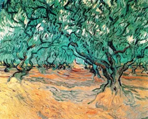 Olive Trees by Vincent van Gogh - Oil Painting Reproduction