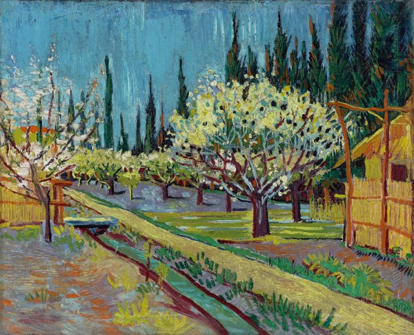 Orchard Bordered by Cypresses  by Vincent van Gogh - Hand-Painted Oil Painting Reproduction