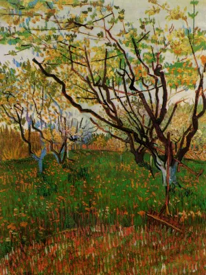 Orchard in Bloom by Vincent van Gogh Oil Painting