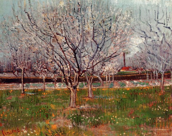 Main Product Photo of Orchard in Blossom also known as Plum Trees Painting by Vincent van Gogh