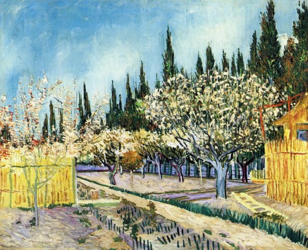 Main Product Photo of Orchard Surrounded by Cypresses Painting by Vincent van Gogh