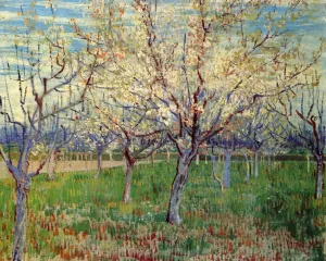 Orchard with Blossoming Apricot Trees painting by Vincent van Gogh