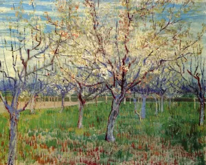 Orchard with Blossoming Apricot Trees by Vincent van Gogh Oil Painting