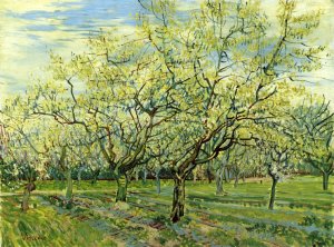 Orchard with Blossoming Plum Trees Oil painting by Vincent van Gogh