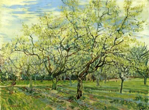 Orchard with Blossoming Plum Trees by Vincent van Gogh - Oil Painting Reproduction