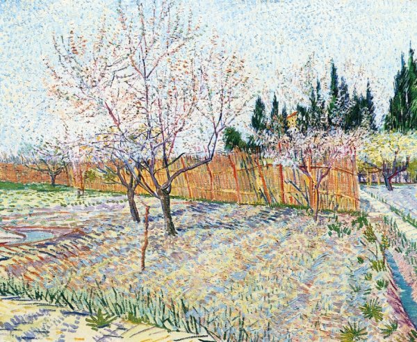 Main Product Photo of Orchard with Peach Trees in Blossom Painting by Vincent van Gogh