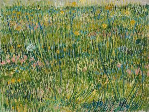 Patch of Grass by Vincent van Gogh Oil Painting