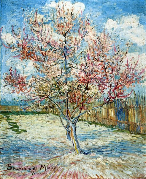 Main Product Photo of Peach Trees in Blossom Painting by Vincent van Gogh
