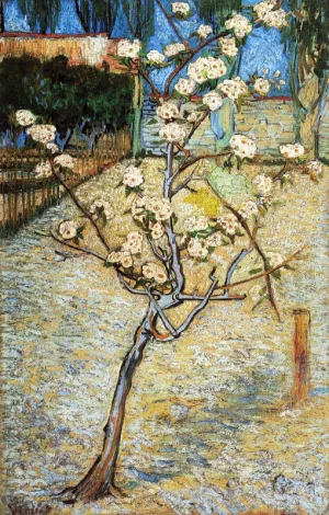 Pear Tree in Blossom by Vincent van Gogh Oil Painting