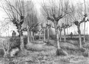 Pollard Birches painting by Vincent van Gogh
