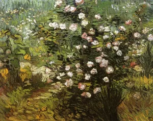 Rosebush in Blossom by Vincent van Gogh Oil Painting