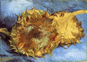 Still Life with Two Sunflowers Oil painting by Vincent van Gogh