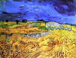 The Fields painting by Vincent van Gogh