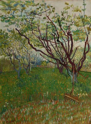 The Flowering Orchard by Vincent van Gogh Oil Painting