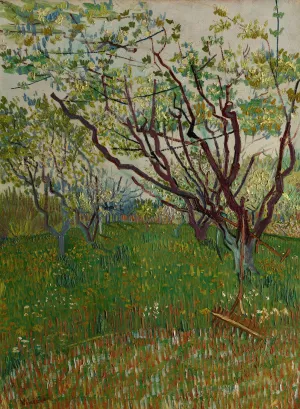 The Flowering Orchard by Vincent van Gogh Oil Painting