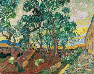 The Garden of Saint-Paul Hospital by Vincent van Gogh Oil Painting