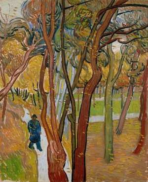 The Garden of Saint Paul's Hospital by Vincent van Gogh Oil Painting