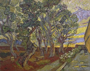 The Garden of Saint Paul's Hospital by Vincent van Gogh Oil Painting