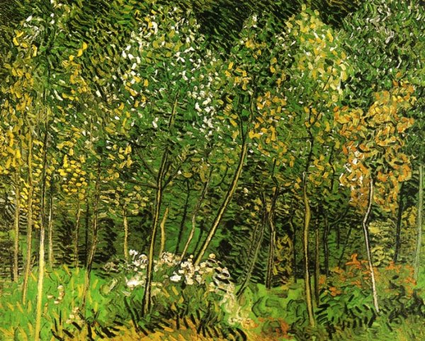 The Grove by Vincent van Gogh - Hand-Painted Oil Painting Reproduction