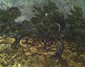 The Olive Grove by Vincent van Gogh - Oil Painting Reproduction