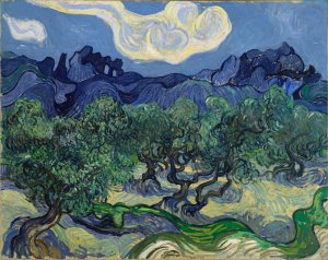 The Olive Trees by Vincent van Gogh Oil Painting