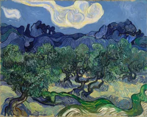 The Olive Trees by Vincent van Gogh Oil Painting