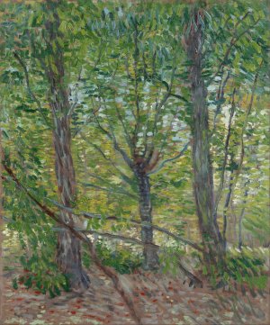 Trees by Vincent van Gogh Oil Painting