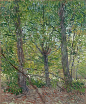 Trees by Vincent van Gogh Oil Painting