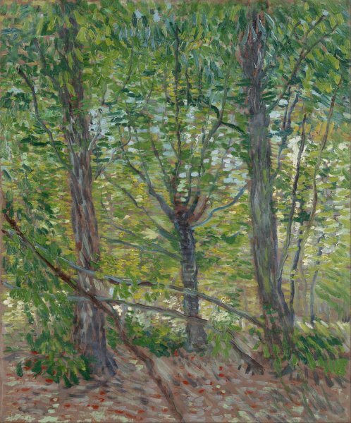Trees by Vincent van Gogh - Hand-Painted Oil Painting Reproduction