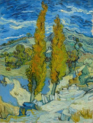 Two Poplars in the Alpilles near Saint-Remy by Vincent van Gogh Oil Painting