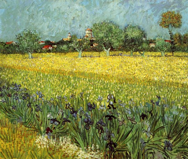 View of Arles with Irises by Vincent van Gogh - Hand-Painted Oil Painting Reproduction