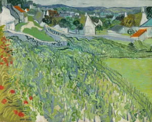 Vineyards at Auvers by Vincent van Gogh Oil Painting