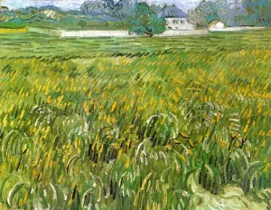 Wheat Field at Auvers with White House by Vincent van Gogh Oil Painting