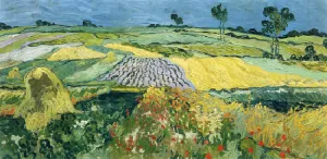 Wheatfields by Vincent van Gogh - Oil Painting Reproduction