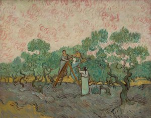 Women Picking Olives by Vincent van Gogh Oil Painting