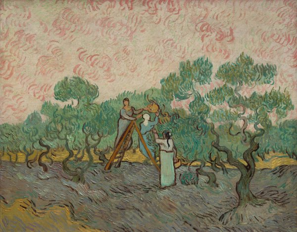 Women Picking Olives  by Vincent van Gogh - Hand-Painted Oil Painting Reproduction