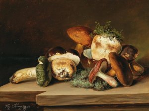 Penny buns and green russula by Vinzenz Kreuzer Oil Painting