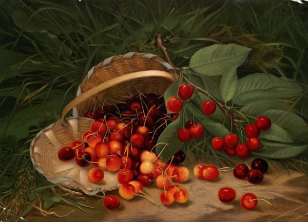 Cherries  by Virginia Granberry - Hand-Painted Oil Painting Reproduction