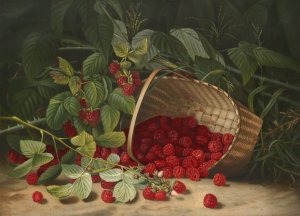 Raspberries by Virginia Granberry Oil Painting