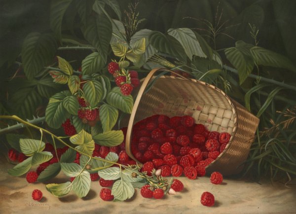 Raspberries  by Virginia Granberry - Hand-Painted Oil Painting Reproduction
