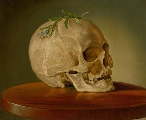 Still Life with a Skull and a Forget-Me-Not by Vojtech Klimkovic Oil Painting