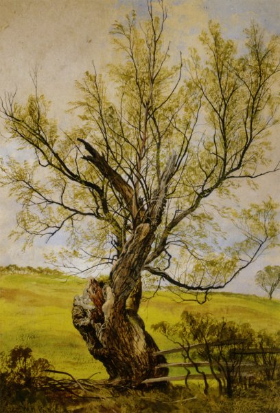An Ancient Willow by Waller Hugh Paton - Hand-Painted Oil Painting Reproduction